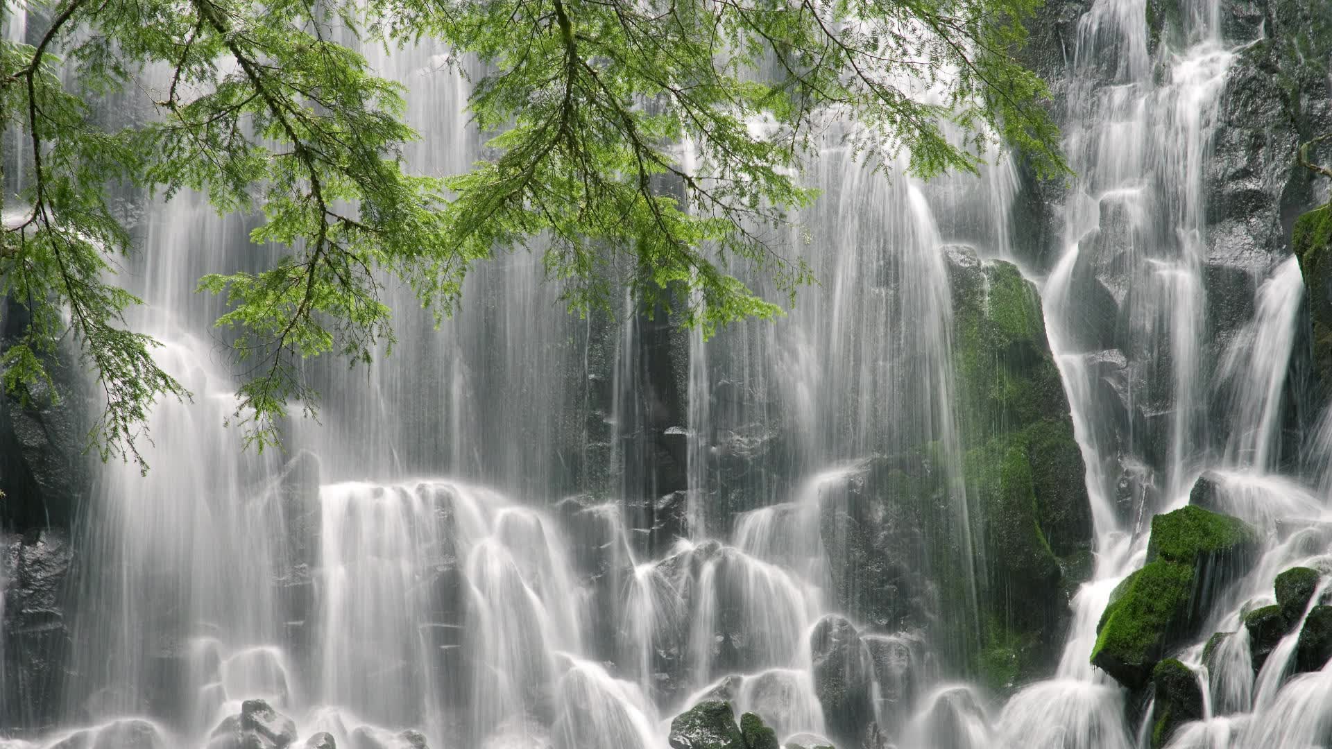 世界柔道锦标赛赛程与看点整理,世界柔道锦标赛视频